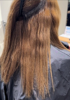 REPLEX リプレックス ダメージ部のプロテクトや薬剤の滅力